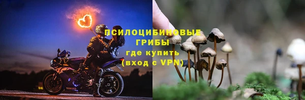 ГАЛЛЮЦИНОГЕННЫЕ ГРИБЫ Балахна