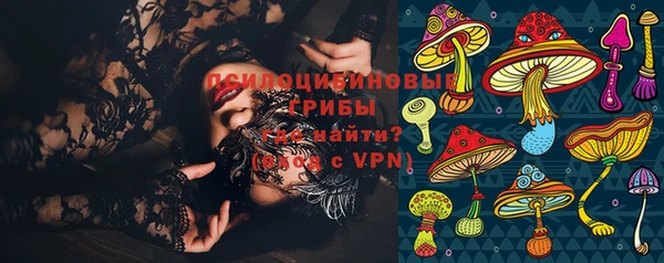 сатива Киров