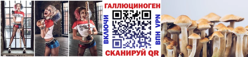 магазин  наркотиков  Братск  Галлюциногенные грибы прущие грибы 