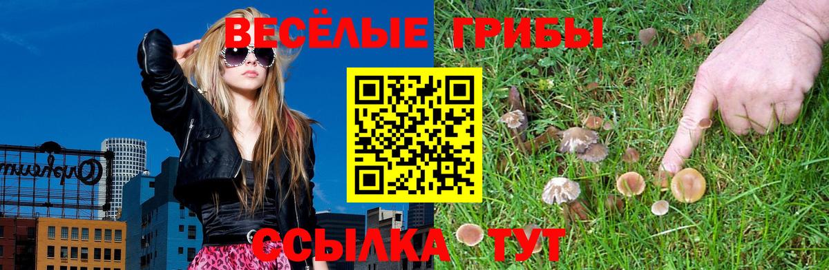 Псилоцибиновые грибы MAGIC MUSHROOMS Братск